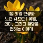 1월-31일-탄생화-노란-샤프란