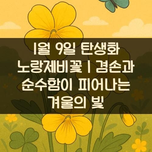 1월-9일-탄생화-노랑제비꽃
