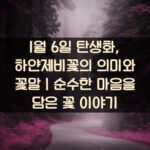 1월-6일-탄생화-하얀제비꽃의-의미와-꽃말｜순수한-마음을-담은-꽃-이야기
