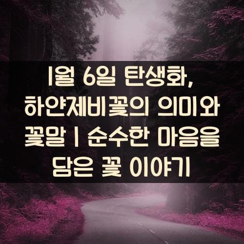 1월-6일-탄생화-하얀제비꽃의-의미와-꽃말｜순수한-마음을-담은-꽃-이야기