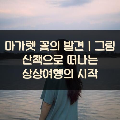 마가렛-꽃의-발견｜그림-산책으로-떠나는-상상여행의-시작