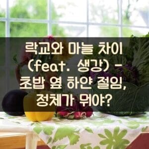 락교와 마늘 차이 (feat. 생강) - 초밥 옆 하얀 절임, 정체가 뭐야? 락교와 마늘 차이 (feat. 생강) - 초밥 옆 하얀 절임, 정체가 뭐야?