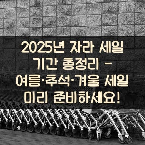 2025년 자라 세일 기간 총정리 - 여름·추석·겨울 세일 미리 준비하세요!