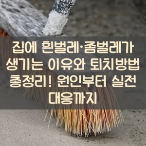 집에 흰벌레·좀벌레가 생기는 이유와 퇴치방법 총정리! 원인부터 실전 대응까지