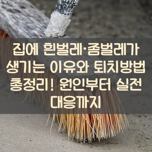 집에 흰벌레·좀벌레가 생기는 이유와 퇴치방법 총정리! 원인부터 실전 대응까지