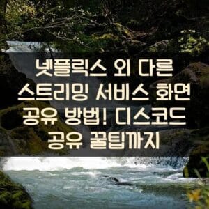 넷플릭스 외 다른 스트리밍 서비스 화면 공유 방법! 디스코드 공유 꿀팁까지