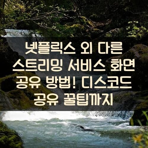 넷플릭스 외 다른 스트리밍 서비스 화면 공유 방법! 디스코드 공유 꿀팁까지