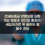 전세보증금 반환보증 보험 가입 방법과 장단점 총정리! 세입자라면 꼭 알아야 할 필수 정보