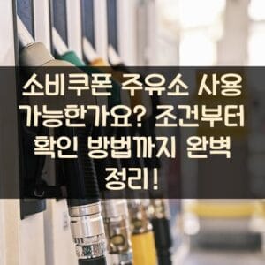 소비쿠폰 주유소 사용 가능한가요? 조건부터 확인 방법까지 완벽 정리! 소비쿠폰 주유소 사용 가능한가요? 조건부터 확인 방법까지 완벽 정리!