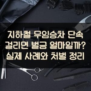 지하철 무임승차 단속 걸리면 벌금 얼마일까? 실제 사례와 처벌 정리 20250911_지하철 무임승차 단속 걸리면 벌금 얼마일까 실제 사례와 처벌 정리