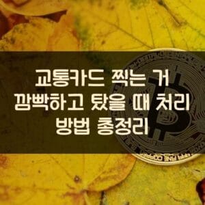 교통카드 찍는 거 깜빡하고 탔을 때 처리 방법 총정리 20250911_교통카드 찍는 거 깜빡하고 탔을 때 처리 방법 총정리