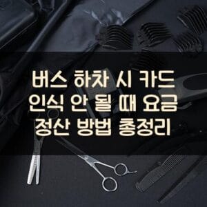 버스 하차 시 카드 인식 안 될 때 요금 정산 방법 총정리 20250911_버스 하차 시 카드 인식 안 될 때 요금 정산 방법 총정리