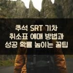 추석 SRT 기차 취소표 예매 방법과 성공 확률 높이는 꿀팁