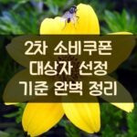 2차 소비쿠폰 대상자 선정 기준 완벽 정리 2 2차 소비쿠폰 대상자 선정 기준 완벽 정리