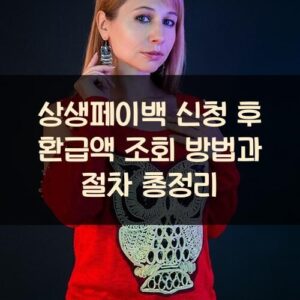 20250916_상생페이백 신청 후 환급액 조회 방법과 절차 총정리_001