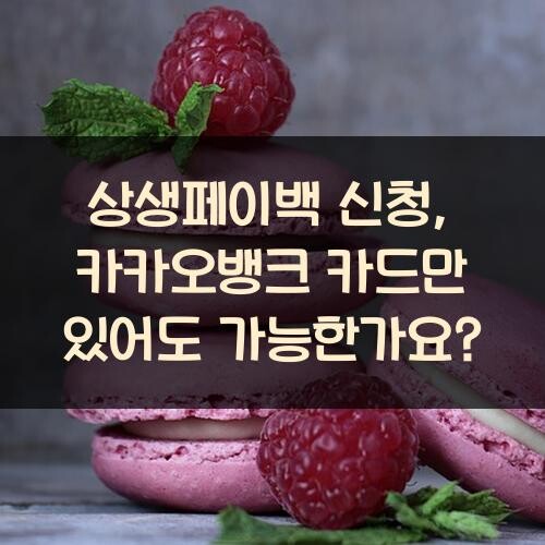 상생페이백 신청, 카카오뱅크 카드만 있어도 가능한가요?