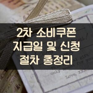 2차 소비쿠폰 지급일 및 신청 절차 총정리 2차 소비쿠폰 지급일 및 신청 절차 총정리