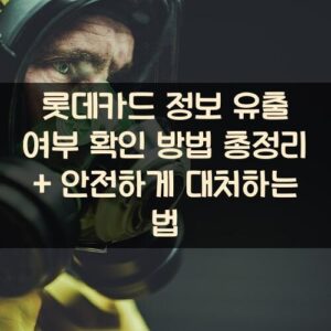 롯데카드 정보 유출 여부 확인 방법 총정리 + 안전하게 대처하는 법 롯데카드 정보 유출 여부 확인 방법 총정리 + 안전하게 대처하는 법