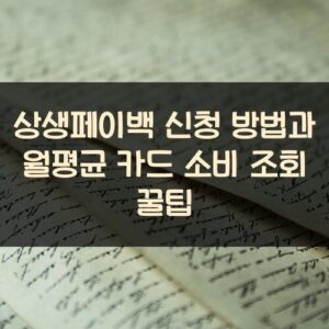 상생페이백 신청 방법과 월평균 카드 소비 조회 꿀팁 상생페이백 신청 방법과 월평균 카드 소비 조회 꿀팁