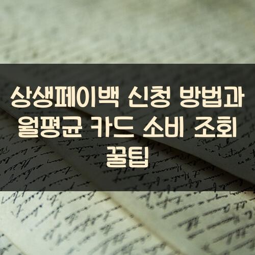 상생페이백 신청 방법과 월평균 카드 소비 조회 꿀팁