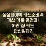 상생페이백 카드소비액 계산 기준 총정리: 여러 장 카드 합산일까?