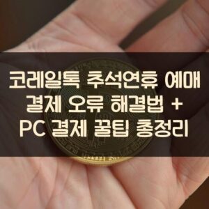 코레일톡 추석연휴 예매 결제 오류 해결법 + PC 결제 꿀팁 총정리 코레일톡 추석연휴 예매 결제 오류 해결법 + PC 결제 꿀팁 총정리