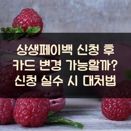 상생페이백 신청 후 카드 변경 가능할까? 신청 실수 시 대처법