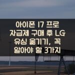 아이폰 17 프로 자급제 구매 후 LG 유심 옮기기, 꼭 알아야 할 3가지