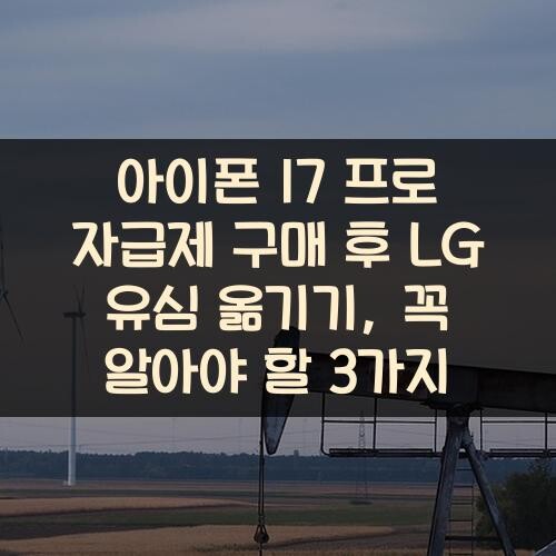 아이폰 17 프로 자급제 구매 후 LG 유심 옮기기, 꼭 알아야 할 3가지