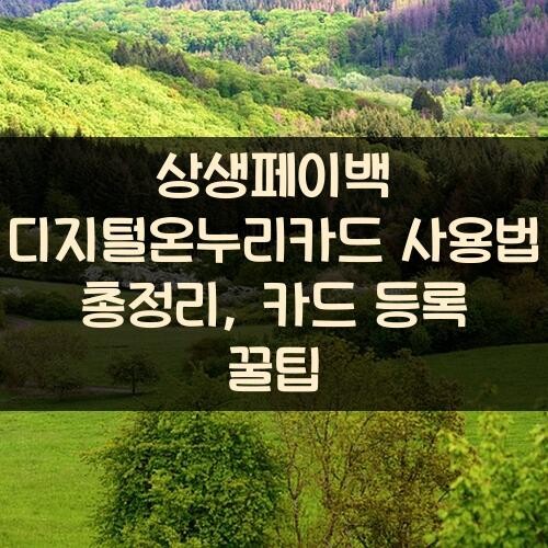 상생페이백 디지털온누리카드 사용법 총정리, 카드 등록 꿀팁