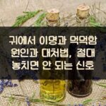 귀에서 이명과 먹먹함 원인과 대처법, 절대 놓치면 안 되는 신호