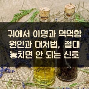 귀에서 이명과 먹먹함 원인과 대처법, 절대 놓치면 안 되는 신호
