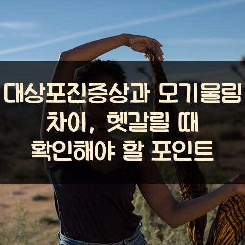 대상포진증상과 모기물림 차이, 헷갈릴 때 확인해야 할 포인트