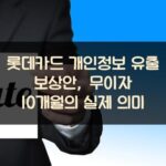 롯데카드 개인정보 유출 보상안, 무이자 10개월의 실제 의미