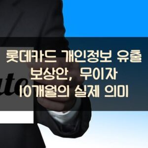 롯데카드 개인정보 유출 보상안, 무이자 10개월의 실제 의미