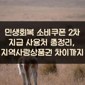 민생회복 소비쿠폰 2차 지급 사용처 총정리, 지역사랑상품권 차이까지 민생회복 소비쿠폰 2차 지급 사용처 총정리, 지역사랑상품권 차이까지