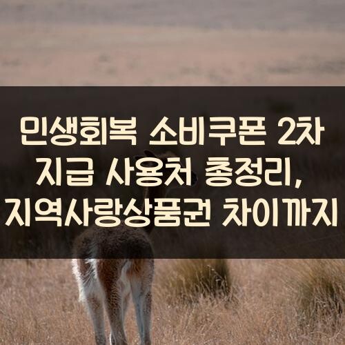 민생회복 소비쿠폰 2차 지급 사용처 총정리, 지역사랑상품권 차이까지