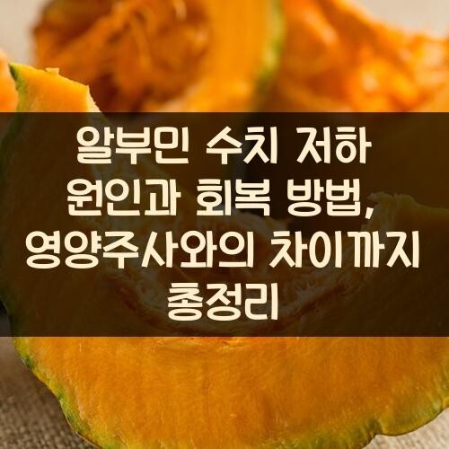 알부민 수치 저하 원인과 회복 방법, 영양주사와의 차이까지 총정리
