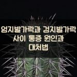 엄지발가락과 검지발가락 사이 통증 원인과 대처법