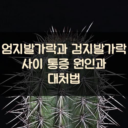 엄지발가락과 검지발가락 사이 통증 원인과 대처법