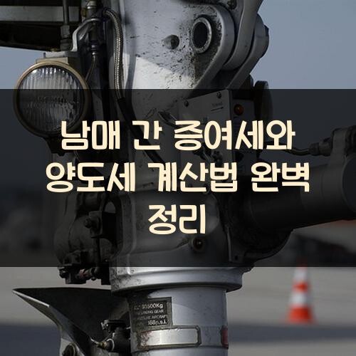 남매 간 증여세와 양도세 계산법 완벽 정리