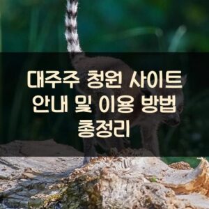 대주주 청원 사이트 안내 및 이용 방법 총정리