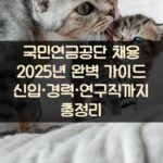 국민연금공단 채용 2025년 완벽 가이드 신입·경력·연구직까지 총정리 1 국민연금공단 채용 2025년 완벽 가이드 신입·경력·연구직까지 총정리