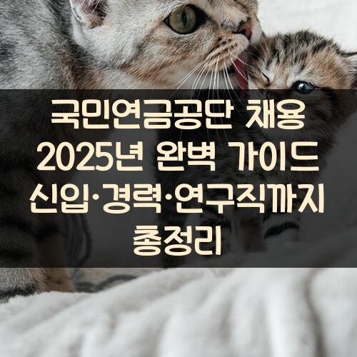 국민연금공단 채용 2025년 완벽 가이드 신입·경력·연구직까지 총정리