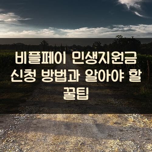 비플페이 민생지원금 신청 방법과 알아야 할 꿀팁