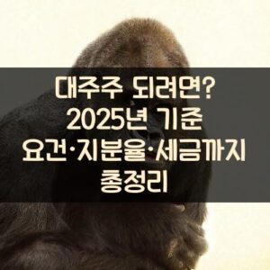 대주주 되려면? 2025년 기준 요건·지분율·세금까지 총정리 대주주 되려면? 2025년 기준 요건·지분율·세금까지 총정리