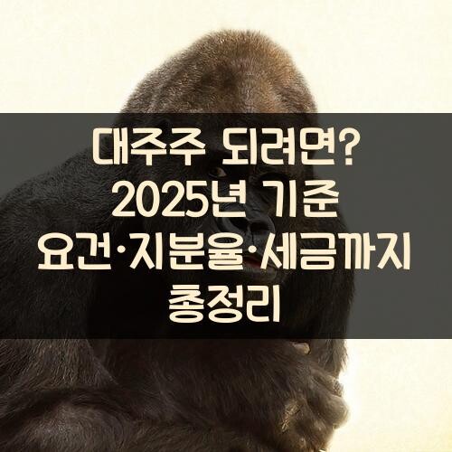 대주주 되려면? 2025년 기준 요건·지분율·세금까지 총정리