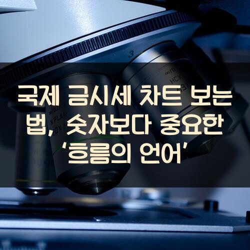 국제 금시세 차트 보는 법, 숫자보다 중요한 ‘흐름의 언어’