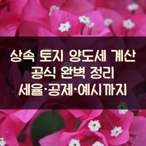 상속 토지 양도세 계산 공식 완벽 정리: 세율·공제·예시까지