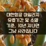 대한항공 마일리지 유효기간 및 소멸 기준, 10년 지나면 그냥 사라집니다